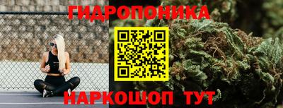 скорость Кинель