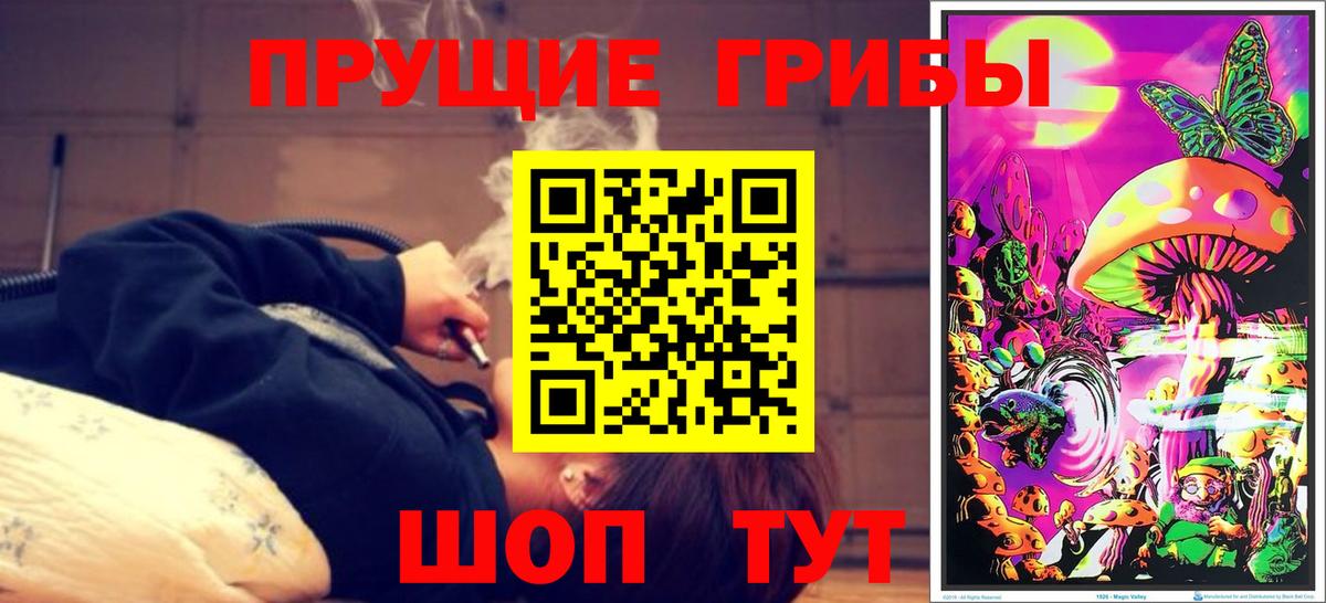 Галлюциногенные грибы GOLDEN TEACHER  Псилоцибиновые грибы ЛСД  Вход с VPN  Нурлат 