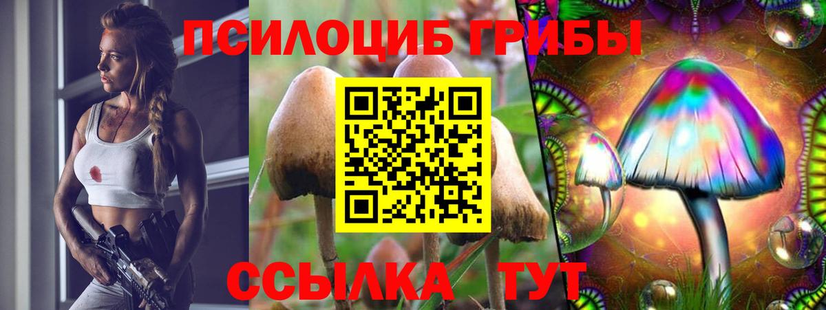 Галлюциногенные грибы GOLDEN TEACHER Нурлат